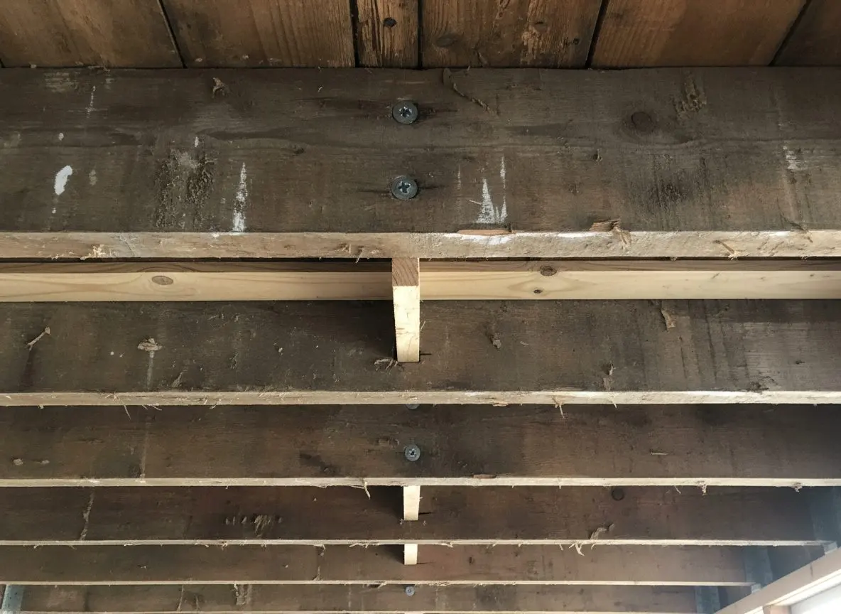 A run of strapping screwed across the underside of old joists with a shim visible under one of them